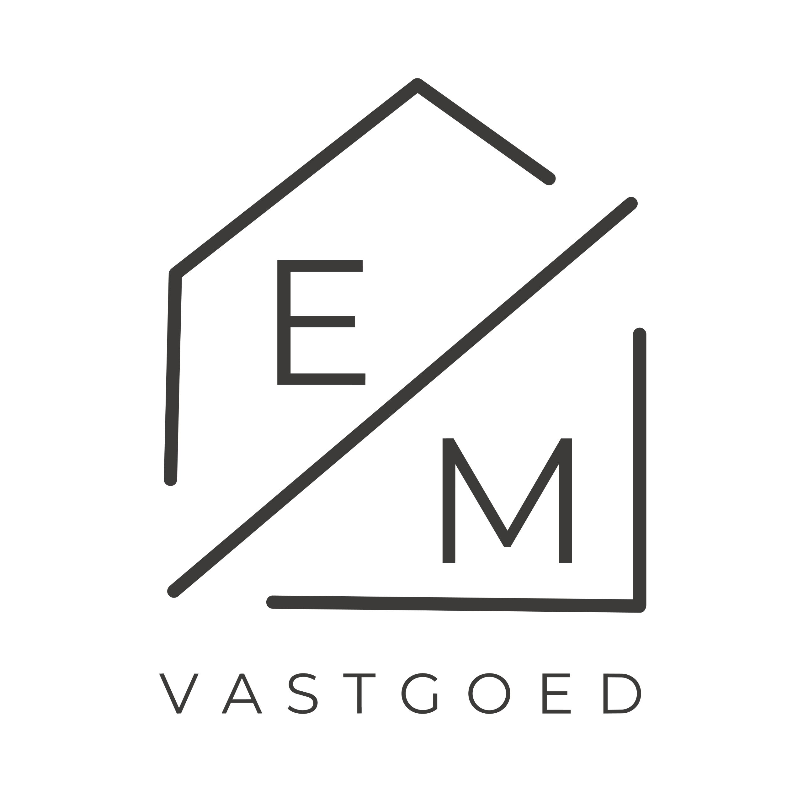 E M ICON LOGO